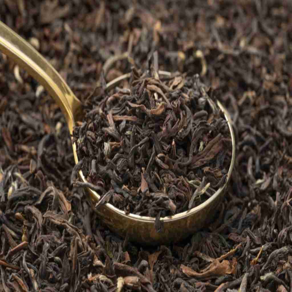 Darjeelingtea4