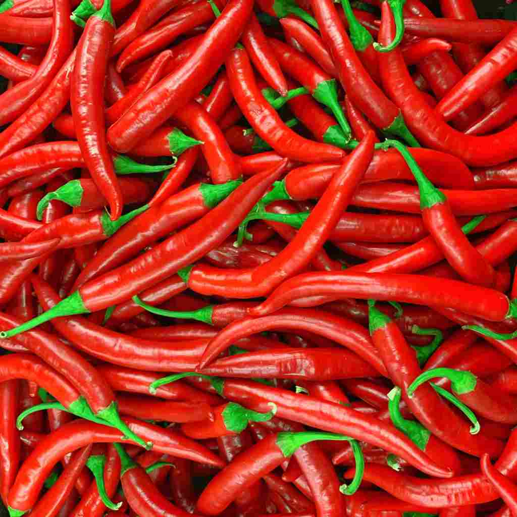 FreshRedChilli R