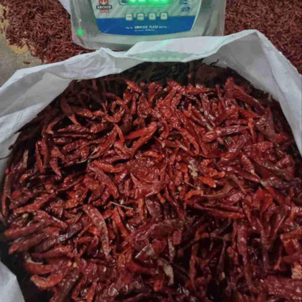 Red-Chilli1