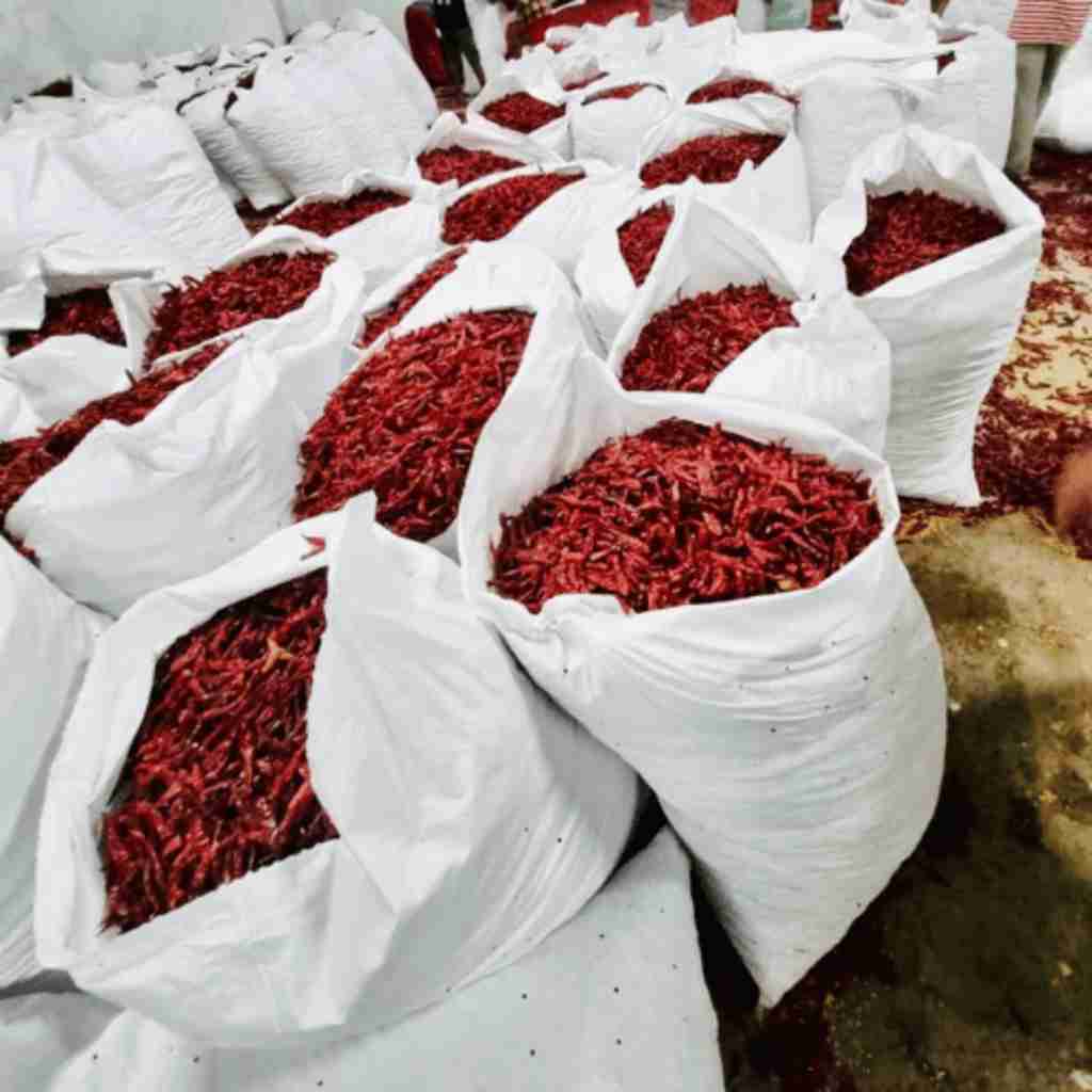 Red-Chilli2