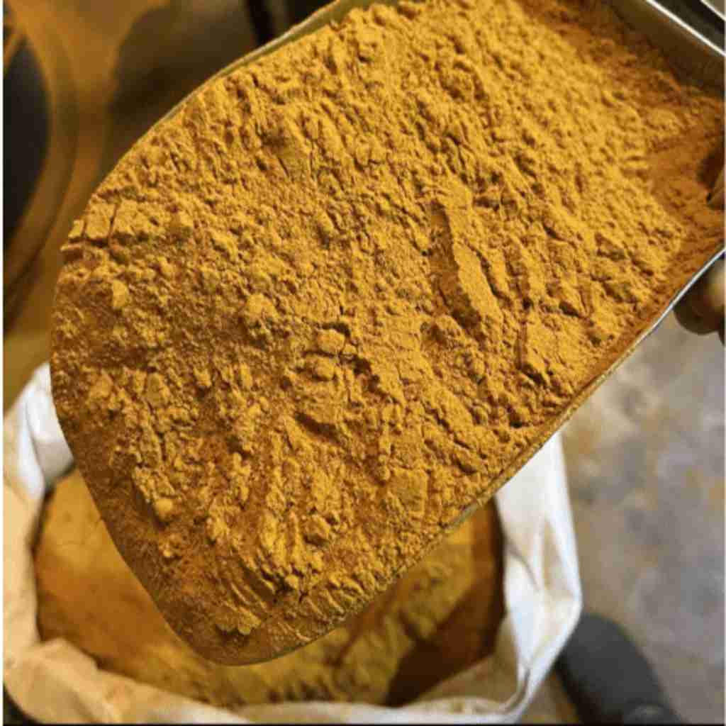 TurmericPowder3